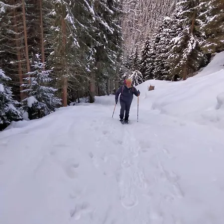 Dolomites Finestra Sul Civetta