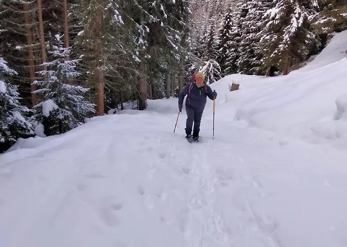 Dolomites Finestra Sul Civetta